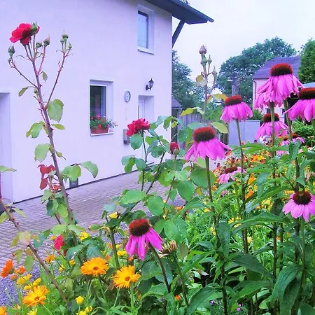 Casa Andelka 3* Andelska Hora (Karlovy Vary)